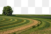 Farm field png border, transparent background