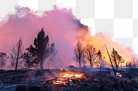 Bushfire png border, transparent background