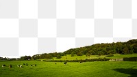 Cow field png border, transparent background