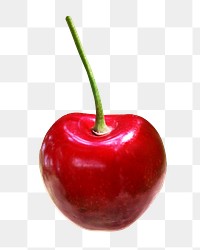 Cherry fruit png sticker, transparent background