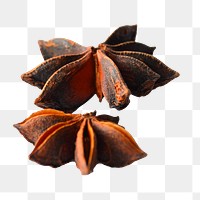 Chinese star anise png sticker, transparent background