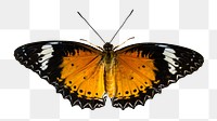 Cethosia butterfly png sticker, transparent background