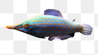 Filefish png fish sticker, transparent background