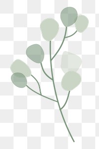 Leaf branch png sticker, transparent background