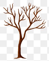 Autumn leafless tree png sticker, seasonal botanical illustration, transparent background