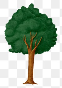 Cute tree png sticker, nature illustration, transparent background