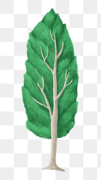 Cute tree png sticker, nature illustration, transparent background
