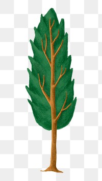 Cute tree png sticker, nature illustration, transparent background