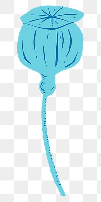 Blue flower bud png sticker, transparent background