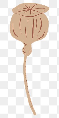 Flower bud png sticker, transparent background