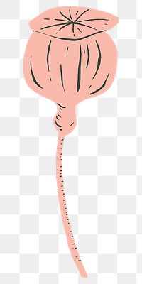 Pink flower bud png sticker, transparent background