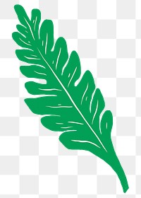 Green leaf png illustration sticker, transparent background