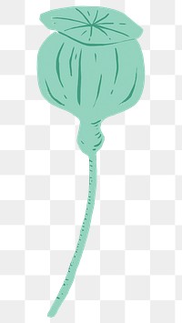 Green flower bud png sticker, transparent background