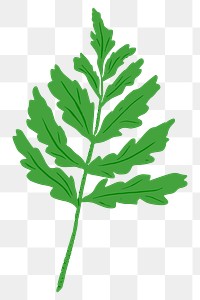 Green leaf png illustration sticker, transparent background