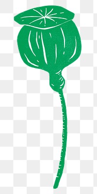 Green flower bud png sticker, transparent background