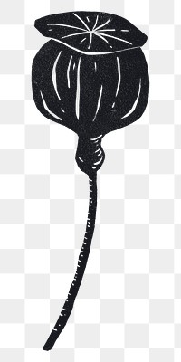 Black flower bud png sticker, transparent background