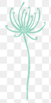 Dandelion bud png sticker, transparent background