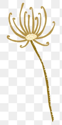 Dandelion bud png sticker, transparent background