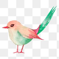 Watercolor bird png animal sticker, transparent background