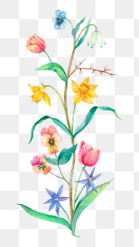 Spring flowers png sticker, transparent background