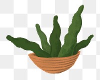 Aesthetic houseplant png sticker, transparent background