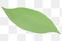 Green leaf png sticker, eco watercolor design, transparent background