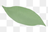 Green leaf png sticker, environment watercolor graphic, transparent background