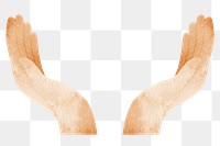 Supporting hands png sticker, transparent background