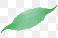 Green leaf png sticker, nature watercolor graphic, transparent background