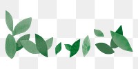 Green leaf png nature border sticker, transparent background