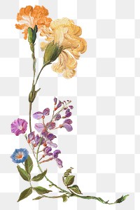 Vintage flowers png sticker, painting by Pierre Joseph Redouté on transparent background. Remixed by rawpixel.