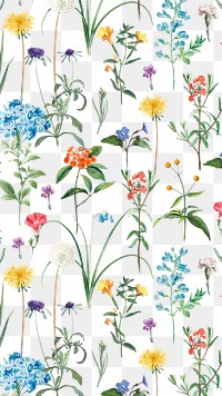 PNG vintage flower pattern sticker, painting by Pierre Joseph Redouté on transparent background. Remixed by rawpixel.