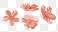 Japanese Sakura flowers png sticker, transparent background