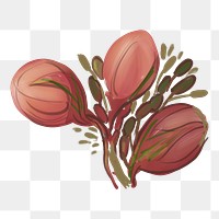 Unbloomed cherry blossom png sticker, transparent background