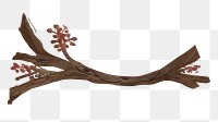 Sakura tree branch png sticker, transparent background