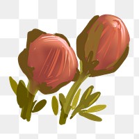 Unbloomed cherry blossom png sticker, transparent background