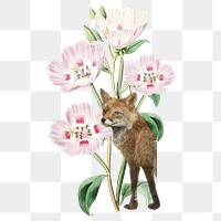 Floral fox png sticker, animal & nature remix, transparent background