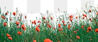 Orange wildflowers png border, transparent background