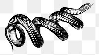 Snake png sticker, transparent background. Free public domain CC0 image.