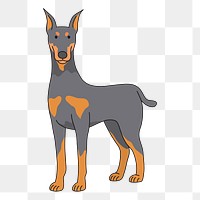 Doberman  png clipart illustration, transparent background. Free public domain CC0 image.