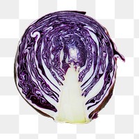 Vegetable png fresh red cabbage sticker, transparent background