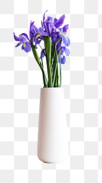 Png purple flower in vase sticker isolated image, transparent background