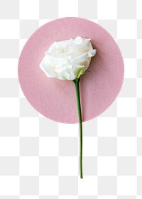 White lisianthus png flower sticker, transparent background