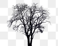 Dry tree silhouette png sticker, transparent background