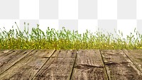 PNG wood walkway & grass border, transparent background