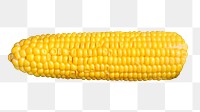 Boiled corn png sticker, transparent background