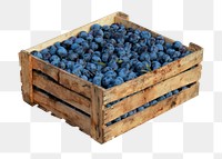 Blueberries in crate png sticker, transparent background