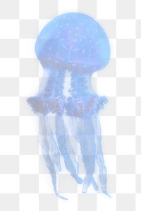 Jellyfish png sticker, transparent background