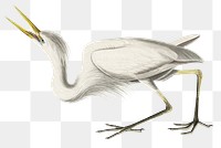 Great white heron png bird sticker, transparent background