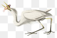 Great white heron png bird sticker, transparent background